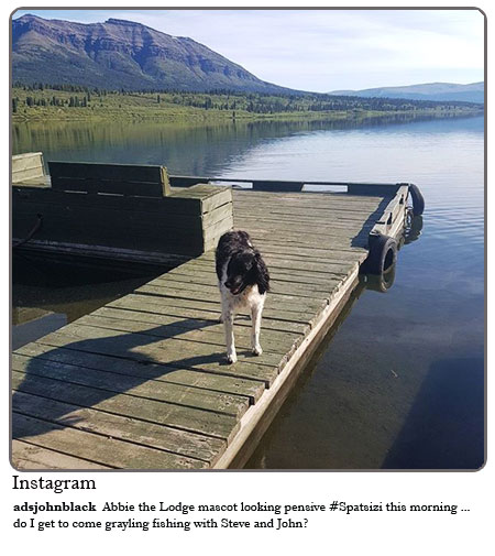 Abbie the Spatsizi Lodge mascot looking pensive this morning...do I get to come Grayling fishing with Steve and John?