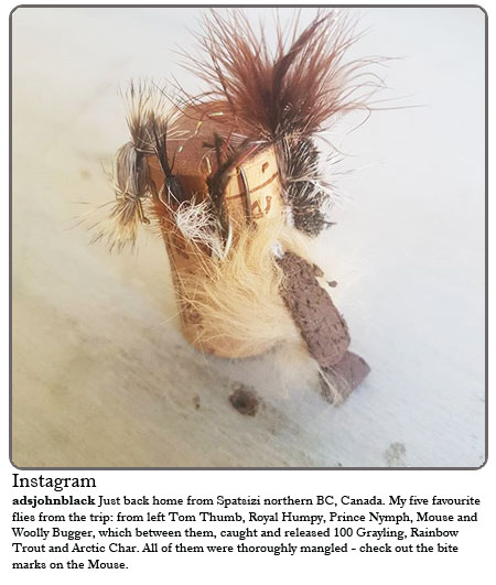 Just back home from Spatsizi northern BC, Canada. My five favourite flies from the trip: from left Tom Thumb, Royal Humpy, Prince Nymph, Mouse and Woolly Bugger, which between them cause and released 100 Grayling, Rainbow Trout and Artic Char. All of them were thoroughly mangled out the bit marks on the Mouse.