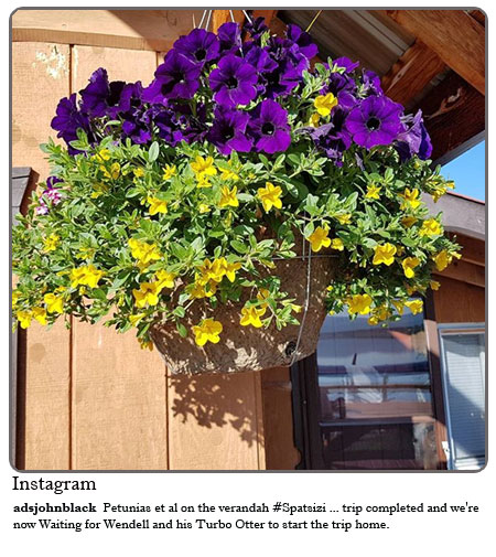 Petunias et al on the verandah #Spatsizi ...trip completed and we're now waiting for Wendell and his Turbo Otter to start the trip home. 