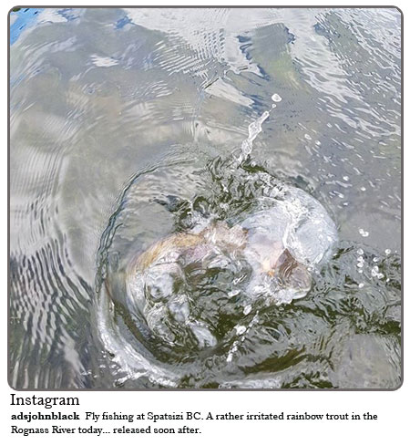 Fly fishing at Spatsizi BC. A rather irritated rainbow trout in the Rognass River today ....released soon after. 