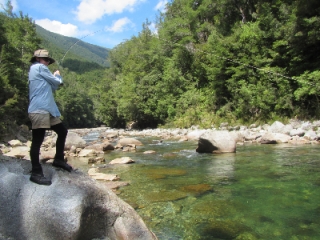 Brown Trout Heaven 17