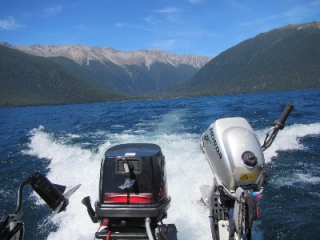 Brown Trout Heaven 20