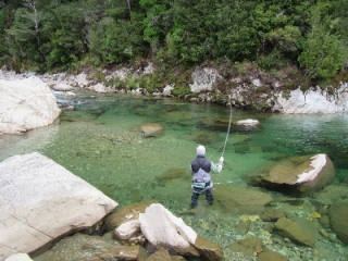 Brown Trout Heaven 24