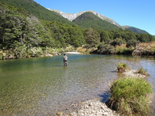Brown Trout Heaven 25