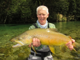 Brown Trout Heaven