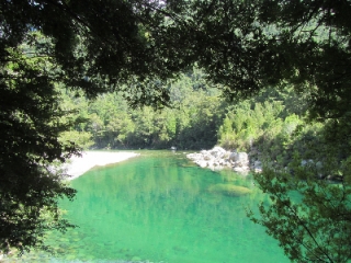 Brown Trout Heaven 37 – Copy