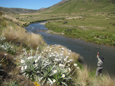Here's what we've been up to over the past two months in New Zealand