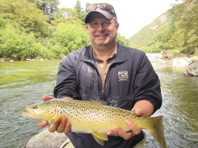 Here's what we've been up to over the past two months in New Zealand