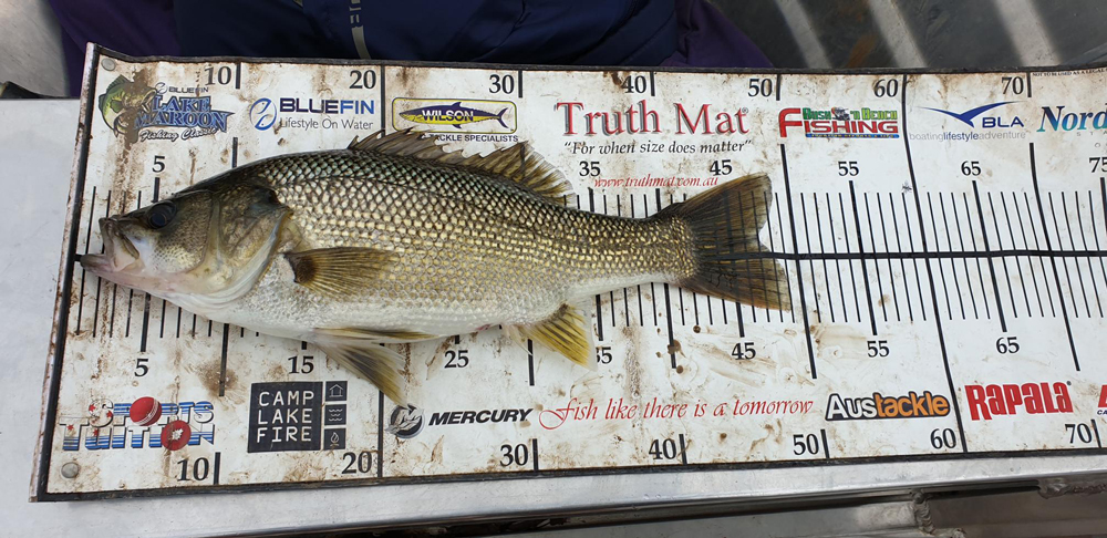 Truth Mat - Family Fishing Trip to Hinze Dam, Qld