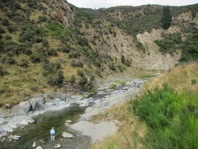 Low river flows and warm water are never easy fishing conditions, but our years of fishing experience, ability to go early, move around, and target the best waters, has worked well. On a positive note, we’ve actually found many new places to fish and have been able to access many previously inaccessible locations. 