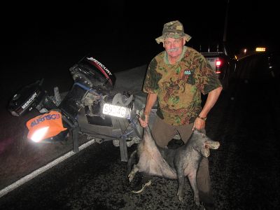 Over the past two months we’ve enjoyed some epic adventures, via hiking, 4WD, helicopter, and boat access. On a recent fishing day out, our biggest catch of the day was a wild pig that ran under the front wheel of the Toyota Hilux on our way home in the dark! 