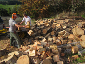 Zane Mirfins Strike Adventure,, Fly Fishing South Island New Zealand with independent guide Zane Mirfin