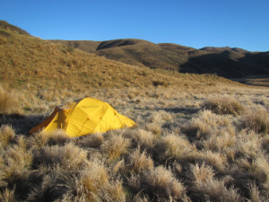 We’ve been keeping up our outdoor skills over winter with deer-stalking, duck hunting, trout fishing, salt water fishing, rafting, fly tying, general maintenance, firewood gathering, farm visits, and fishing access track improvements. The NZ Professional Fishing Guides Association Annual General Meeting was held in Nelson City this year and was well attended by guides throughout New Zealand. While we covered the inevitable tough issues effecting the industry, the best part is always the social interactions with good friends over fine wine and dinner. 