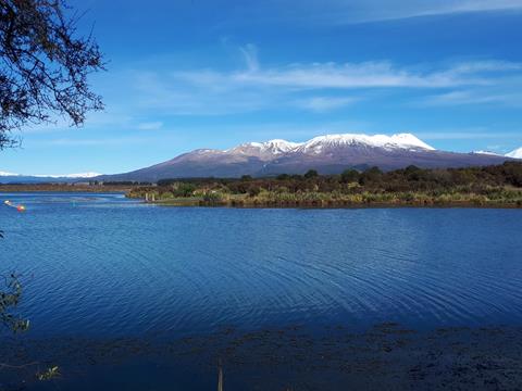 Lake Otarmangakau open