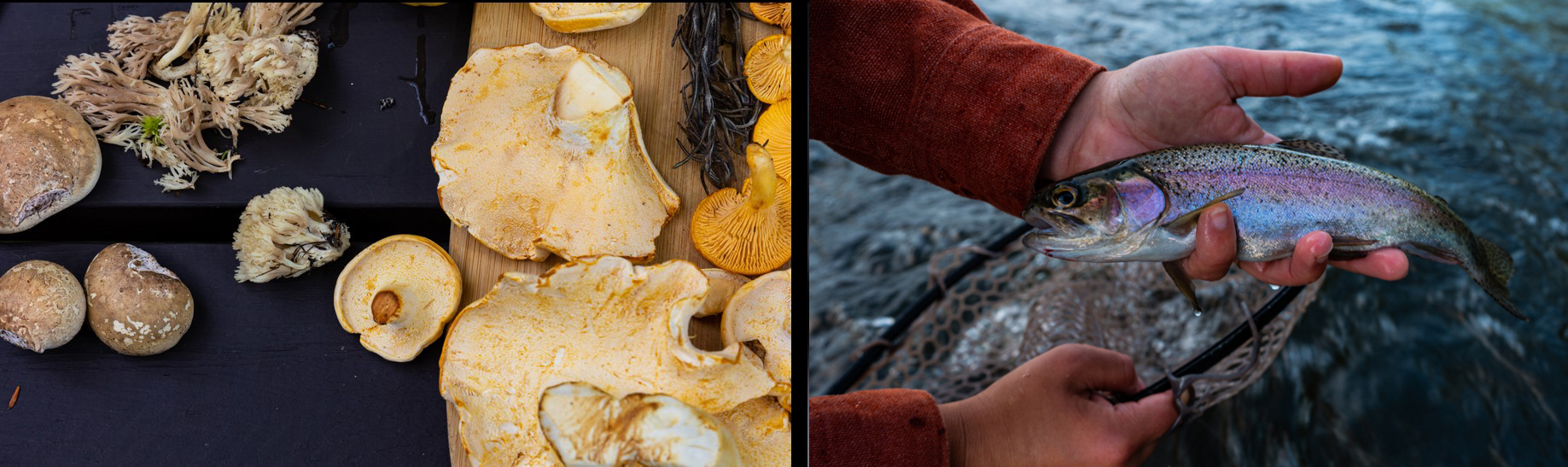 Fish And Forage - Observations Through Harvest Of Stocked Trout And Fung