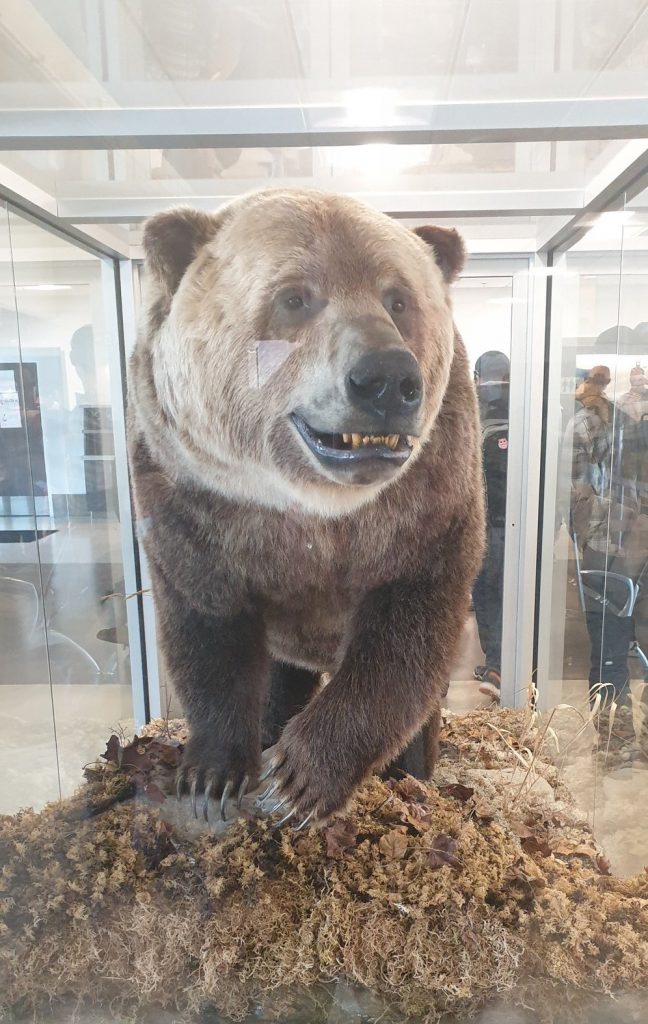 We made it to Smithers!